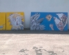 Progetto Spazio H Licei Alberti di Alma Mater srl 2015/2016